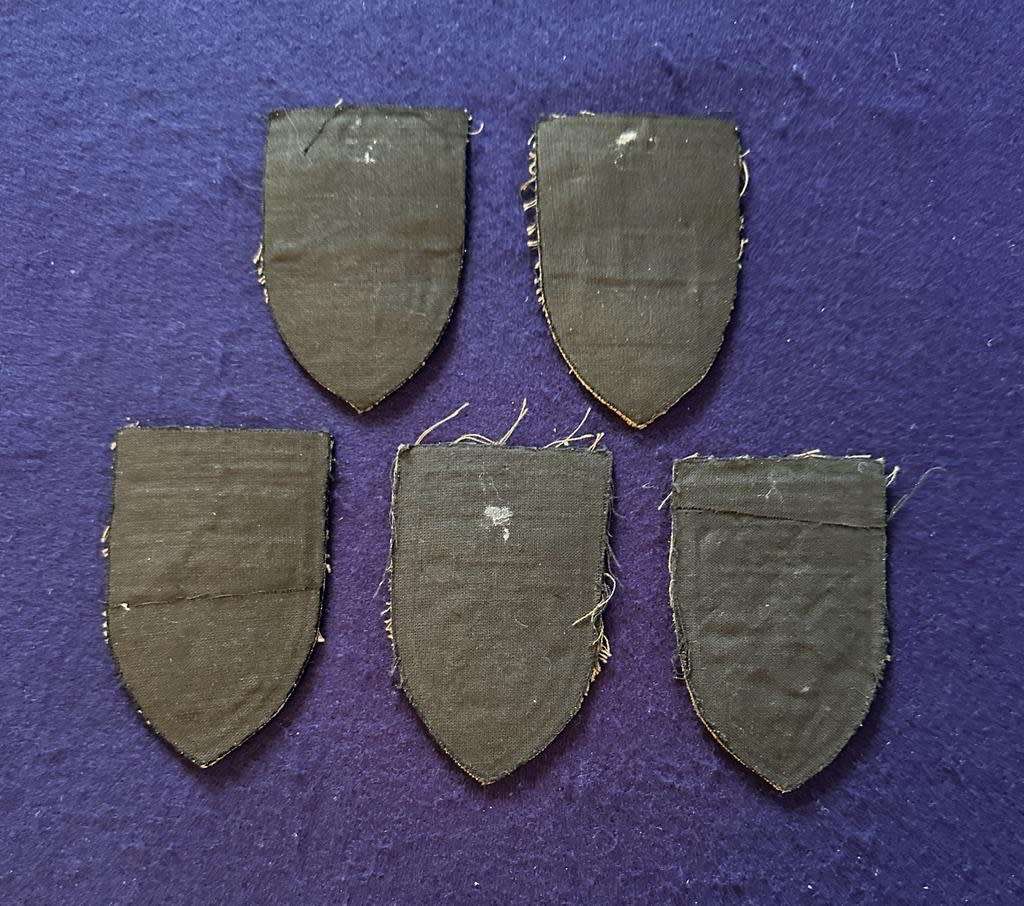 44 Para LOT of Nutria Company Flashes - 5 Badges