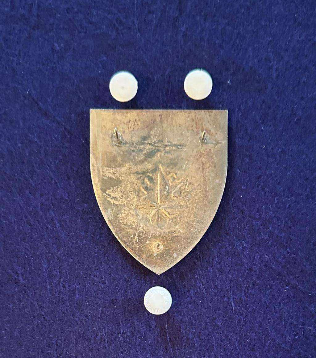 SA Army Special Forces RECCE Supply Unit Metal Arm Flash