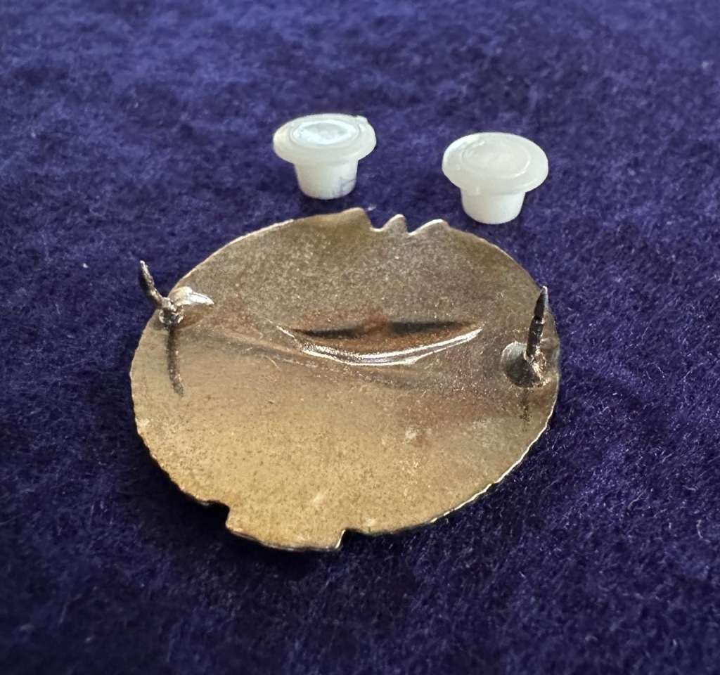 SADF / SA Army Recce Attack Diver Qualification Badge, pins intact