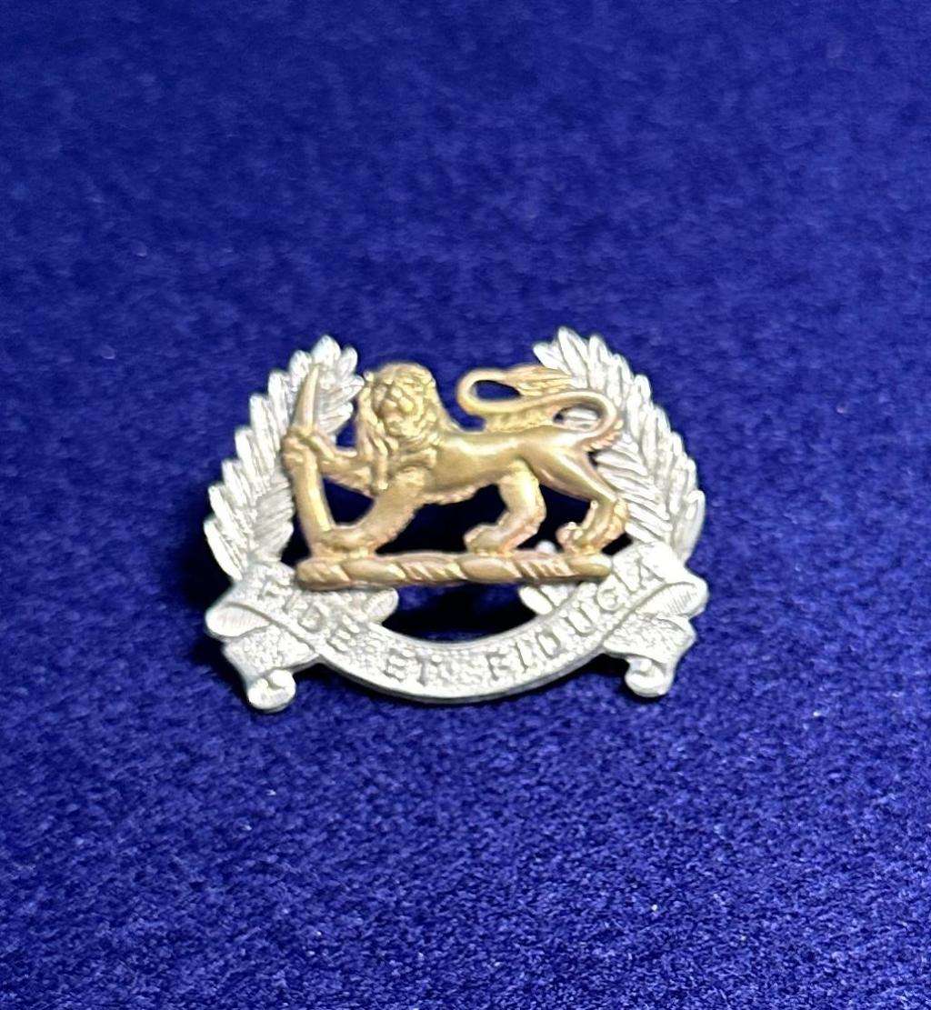 Rhodesian Lion Pay Corps - Cap Badge and Set of Collars - Variant 1