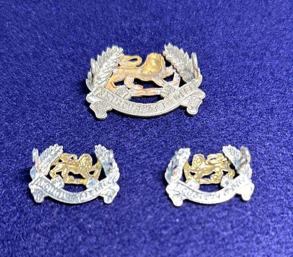 Rhodesian Lion Pay Corps - Cap Badge and Set of Collars - Variant 1