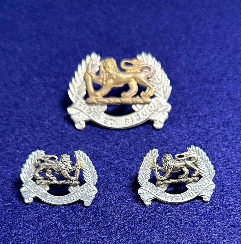 Rhodesian Lion Pay Corps - Cap Badge and Set of Collars - Variant 1