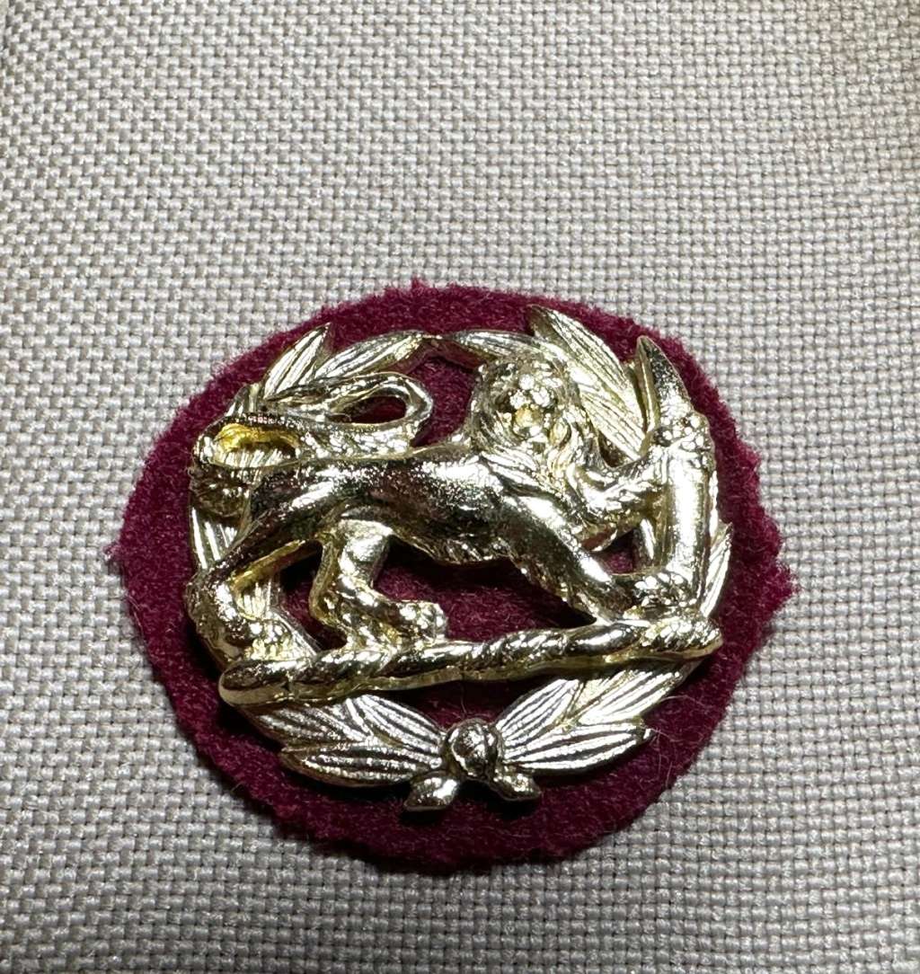 Rhodesian Medical Corps - SET MAJORS SERVICE DRESS RANK