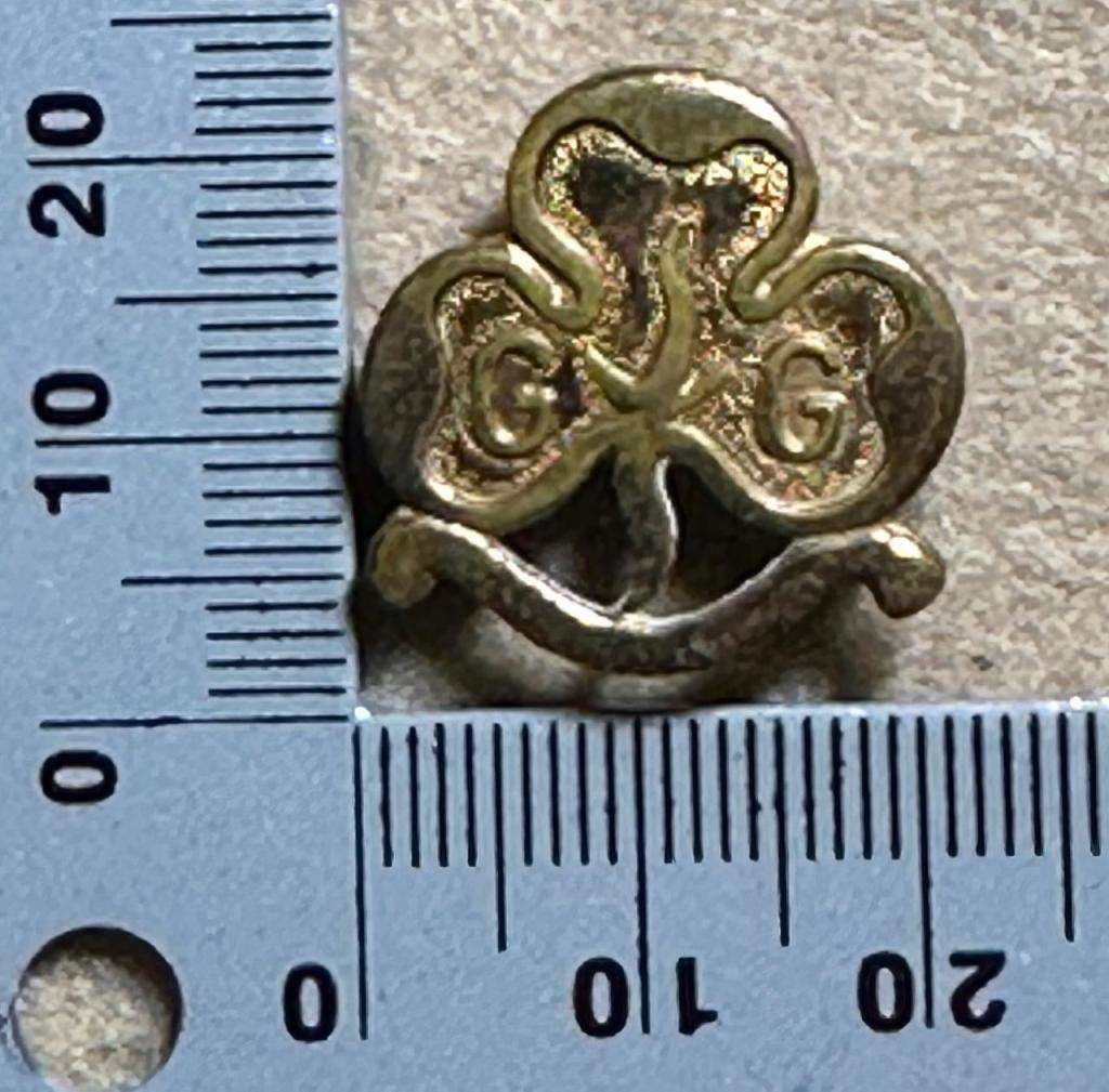 Rhodesian Girl Guides - VARIED BROOCH