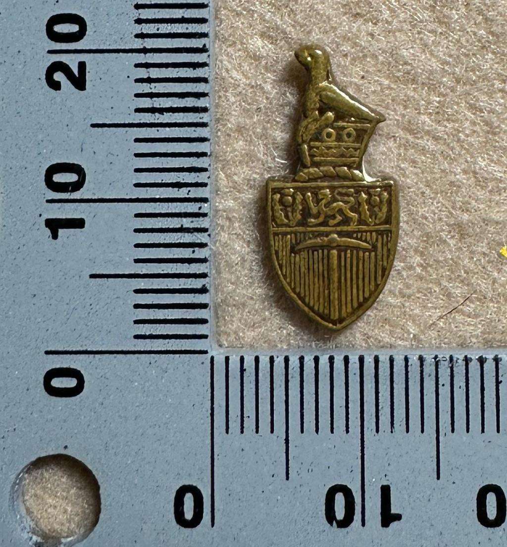 Rhodesia Parliament - RHODESIA FRONT LAPEN PIN VARIANT