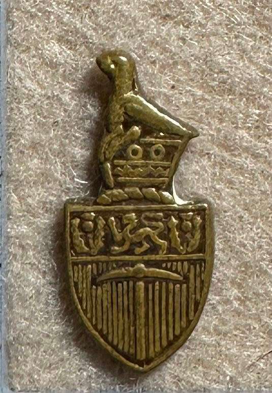 Rhodesia Parliament - RHODESIA FRONT LAPEN PIN VARIANT