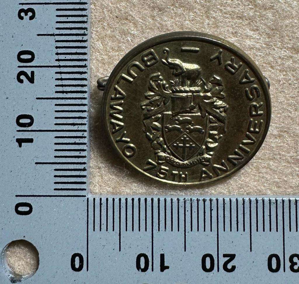 Rhodesian City Councils - CITY OF BULAWAYO BROOCHES VARIANT, by MATTHEWS MFG, BULAWAYO