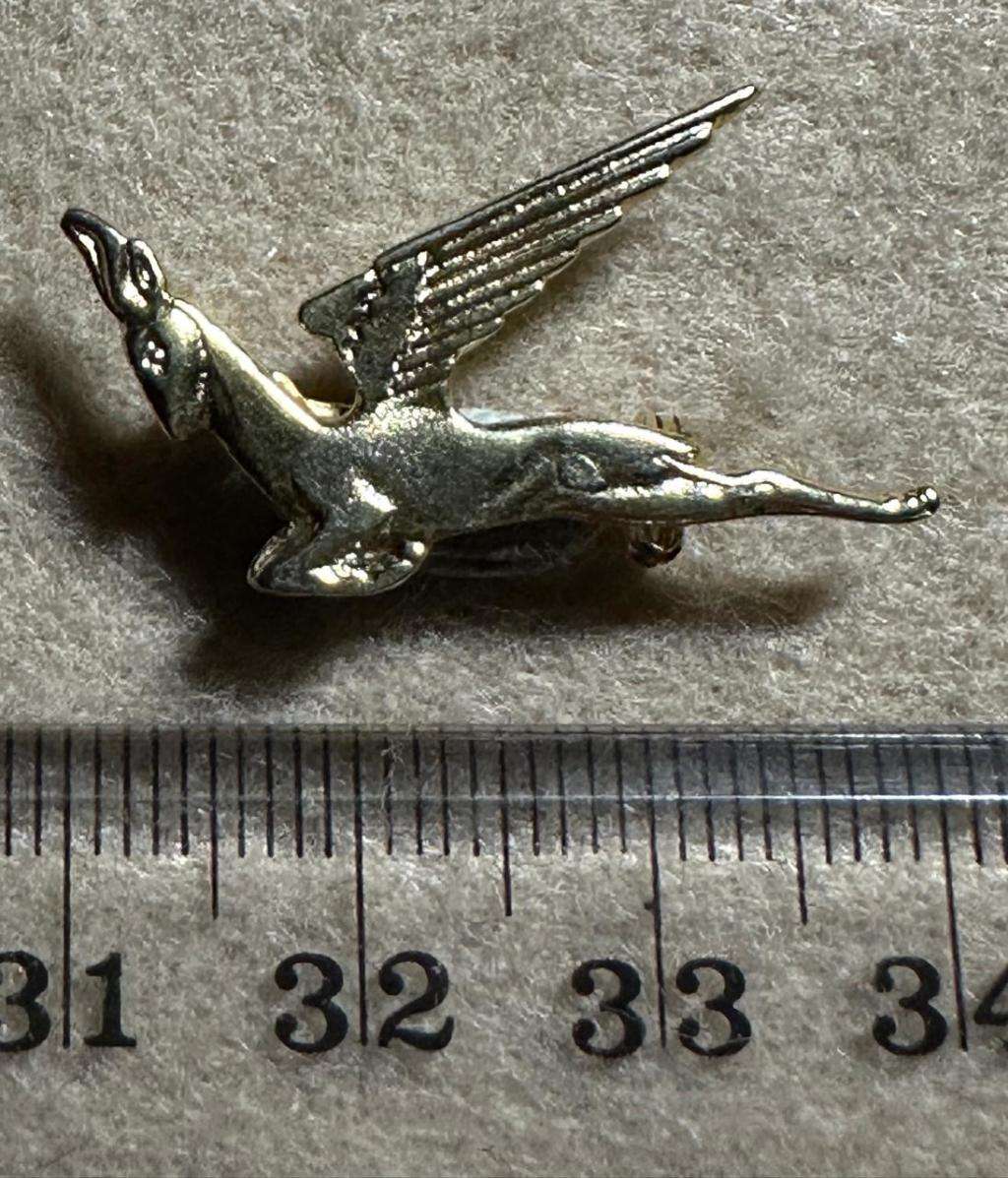 South African Civil Aviation - SAA FLYING SPRINGBOK