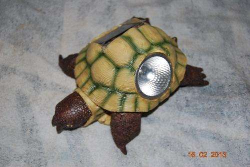 BRAND NEW TURTLE SOLAR LIGHT TO LIGHT UP YOUR GARDEN