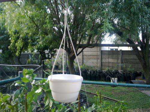 Hanging Bowls White 20 cm