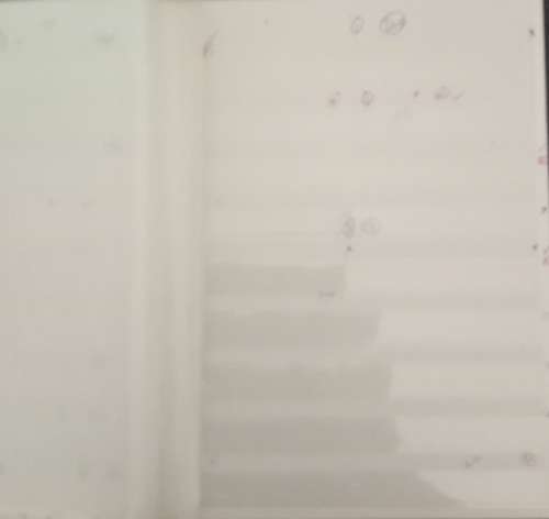 IDEAL ALBUM 10 PAGES WITH WRITING ON PAGES WELL USED FAIR CONDITION