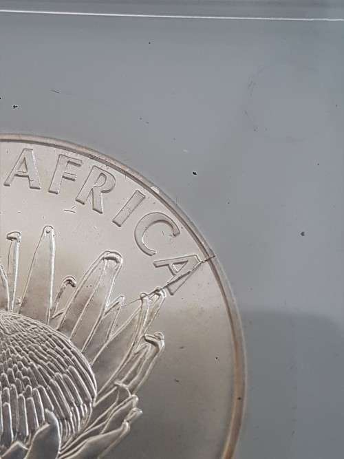 *ERROR COIN*2011 MS67 PROTEA GRADED CRACKED DIE *VERY RARE*