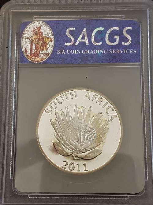 2011 PF68 ULTRA CAMEO PROTEA GRADED