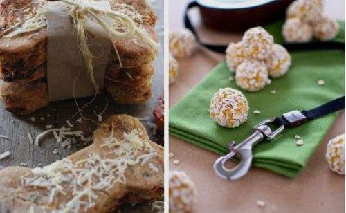 Homemade Dog Treats E Book