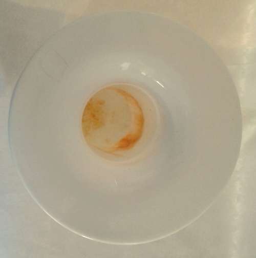 Very large white opaque vase (please read full description)