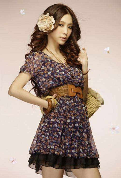 Puff Sleeve Floral Chiffon Dress