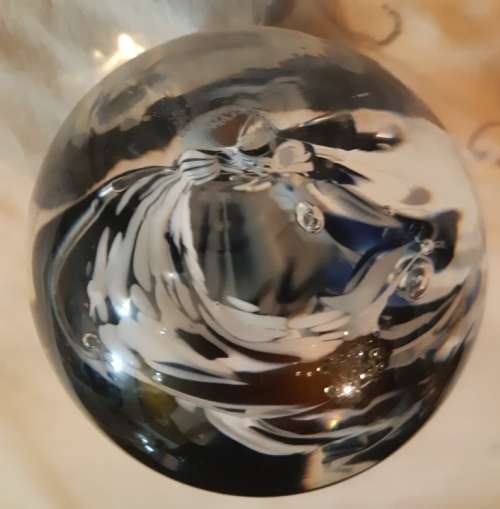 Beautiful  dark blue and white colour Murano Paperweight-Dia 7 cm-weight 475 gram