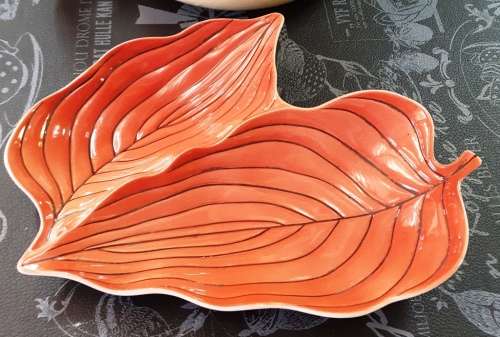 Beautiful Carlton Ware Australian design leave pattern hand painted porcelain bowl-L 24 cm W 23 cm