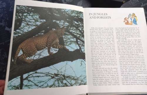 Disney`s Wonderful World of Knowledge - (15 volume set) hardcover-January1, 1971, Danbury Press