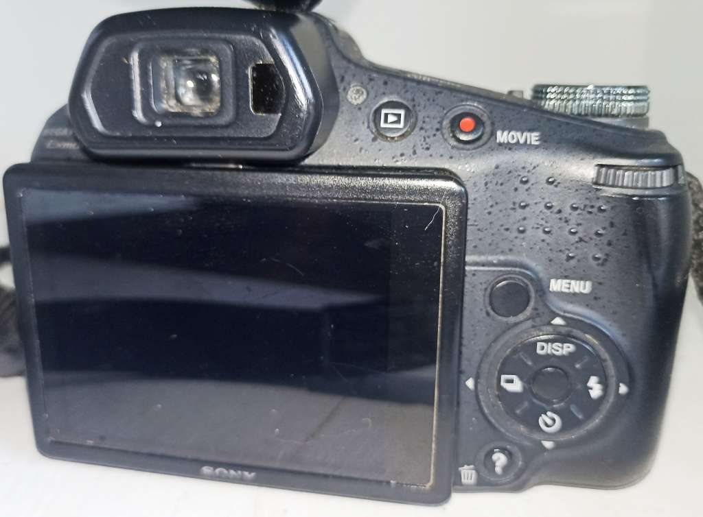 Sony Cyber Shot 16.2 Megapixel Bridge Digital Camera black