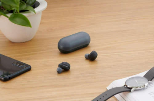 Sony WF-C500 Truly Wireless In-Ear Bluetooth Earbud