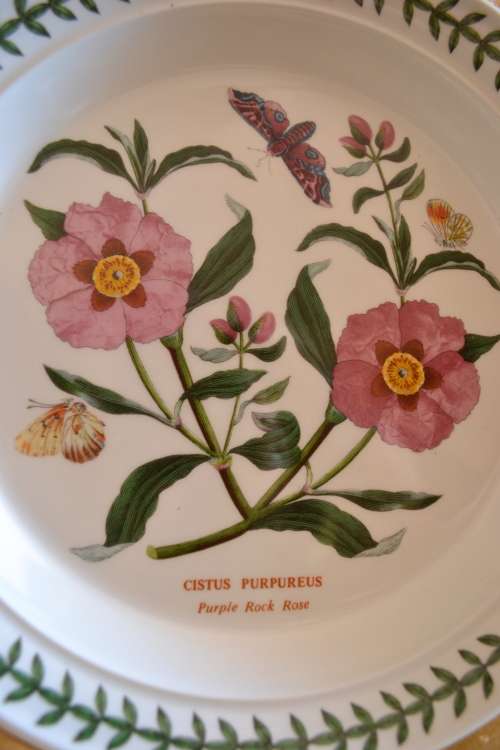 3 Port Meirion medium size plates