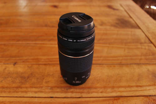 Canon EF 75-300mm 1:4-5.6 III Telephoto zoom lens