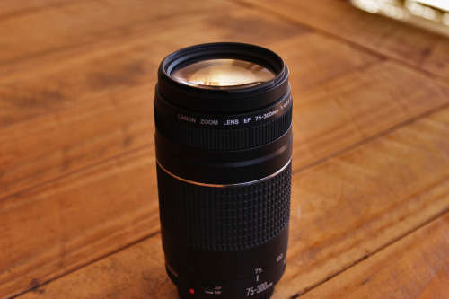 Canon EF 75-300mm 1:4-5.6 III Telephoto zoom lens