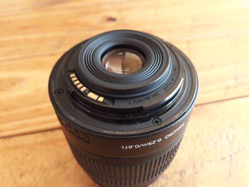Canon EF-S 18-55mm 1:3.5-5.6 Mark III