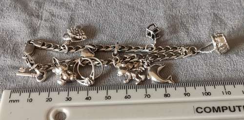 Silver Charm Bracelet