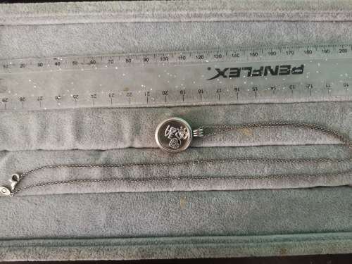 Silver Pandora Necklace