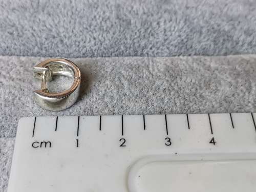 Cute Silver Hoop Earrings