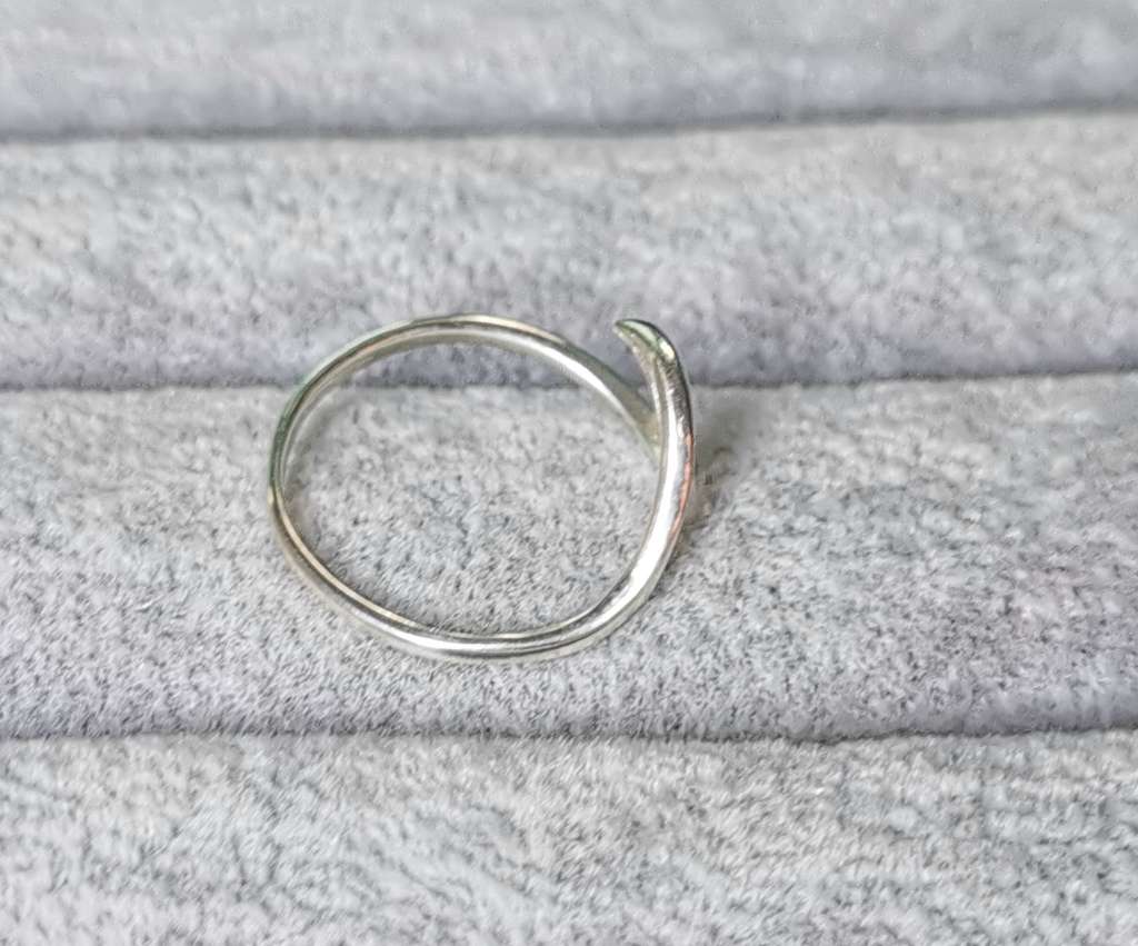Silver Ocean Ring