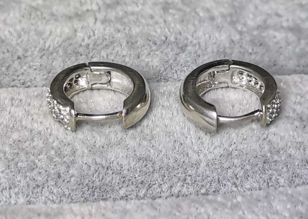 Dazzling Silver Earrings