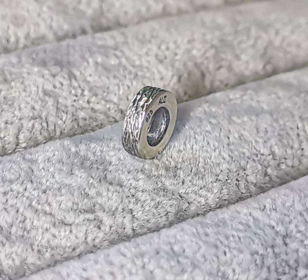 Pandora Spacer Charm