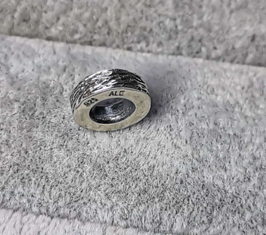 Pandora Spacer Charm