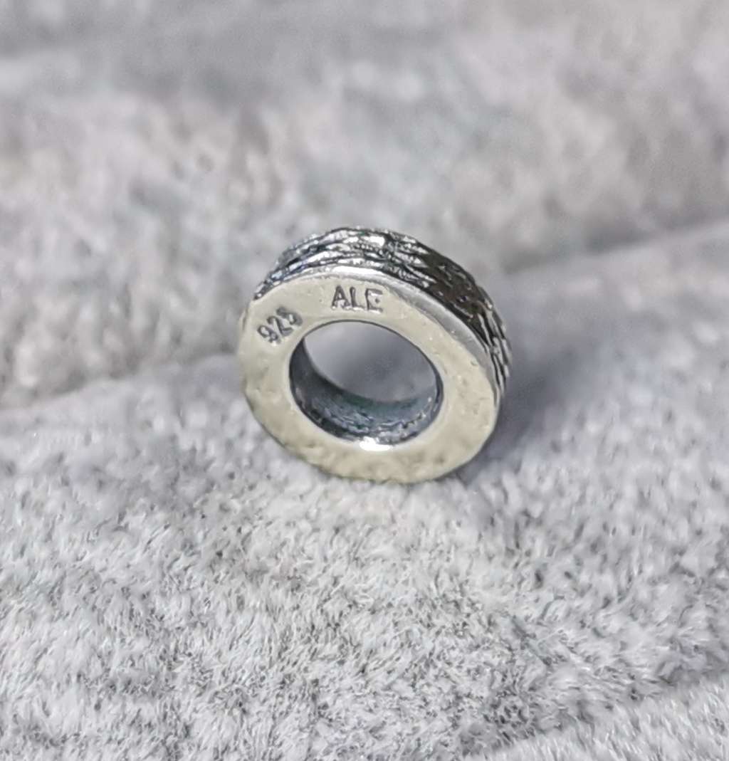 Pandora Spacer Charm