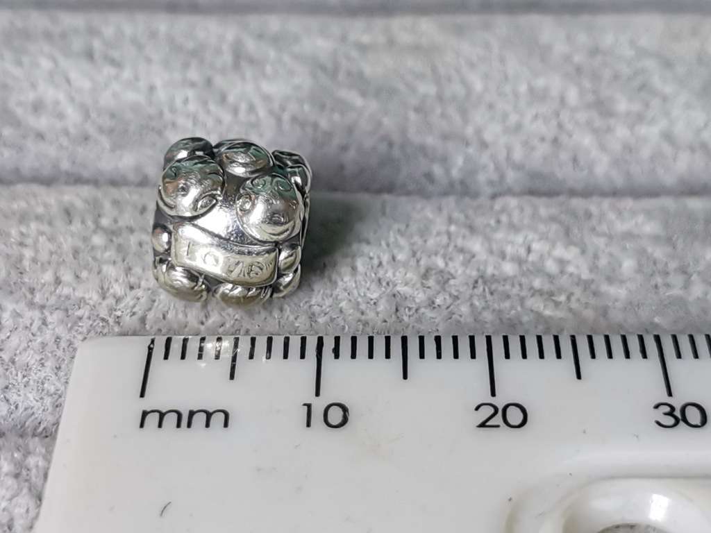 Pandora Love And Family Charm