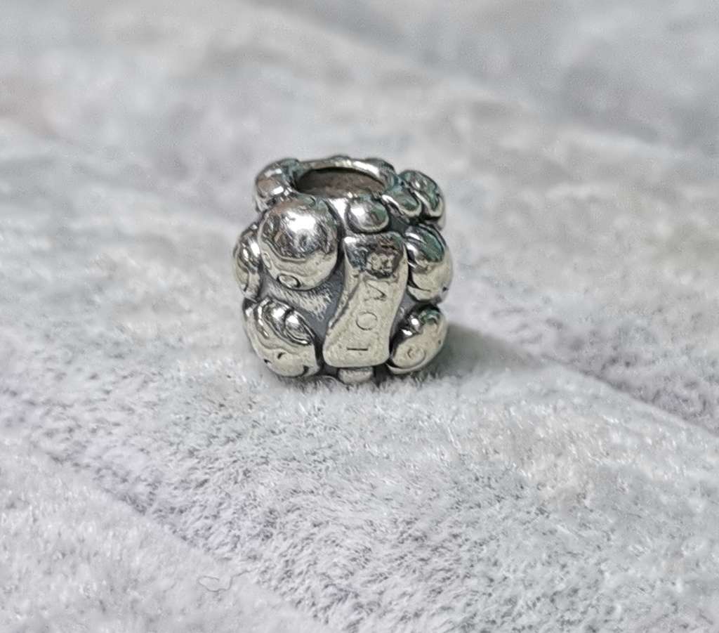 Pandora Love And Family Charm