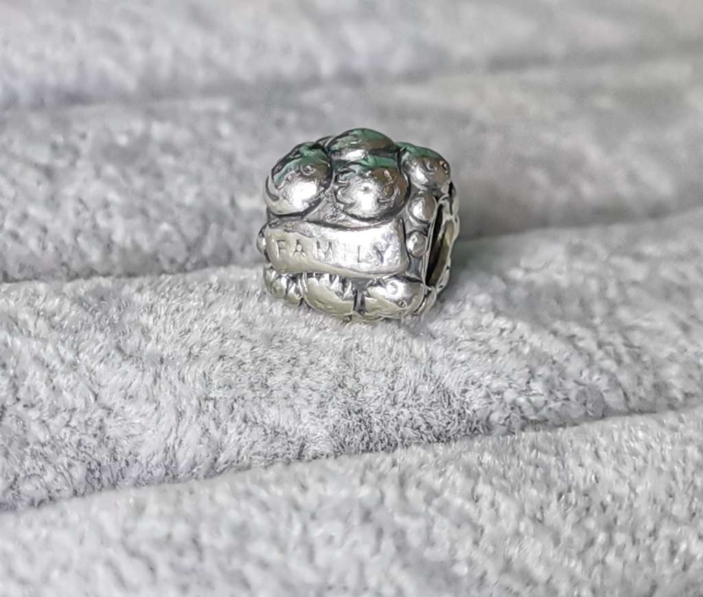 Pandora Love And Family Charm