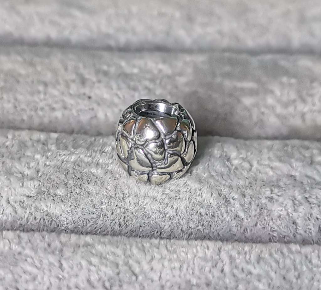 Pandora Lotsa Love Charm