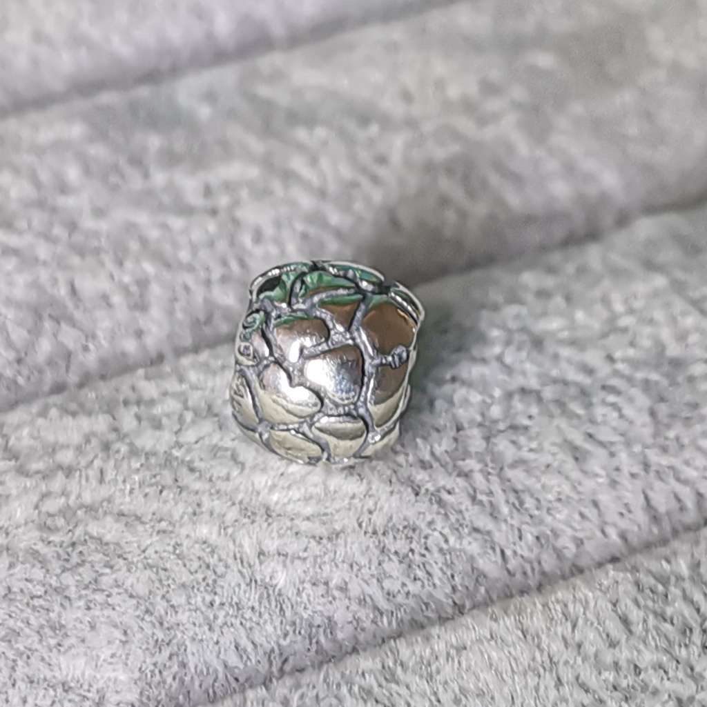 Pandora Lotsa Love Charm