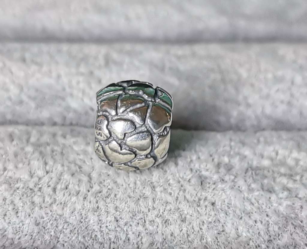 Pandora Lotsa Love Charm