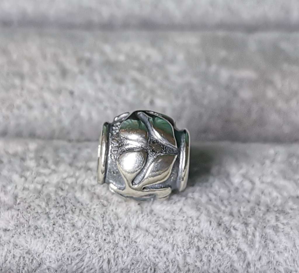 Pandora Friendly Florist Charm