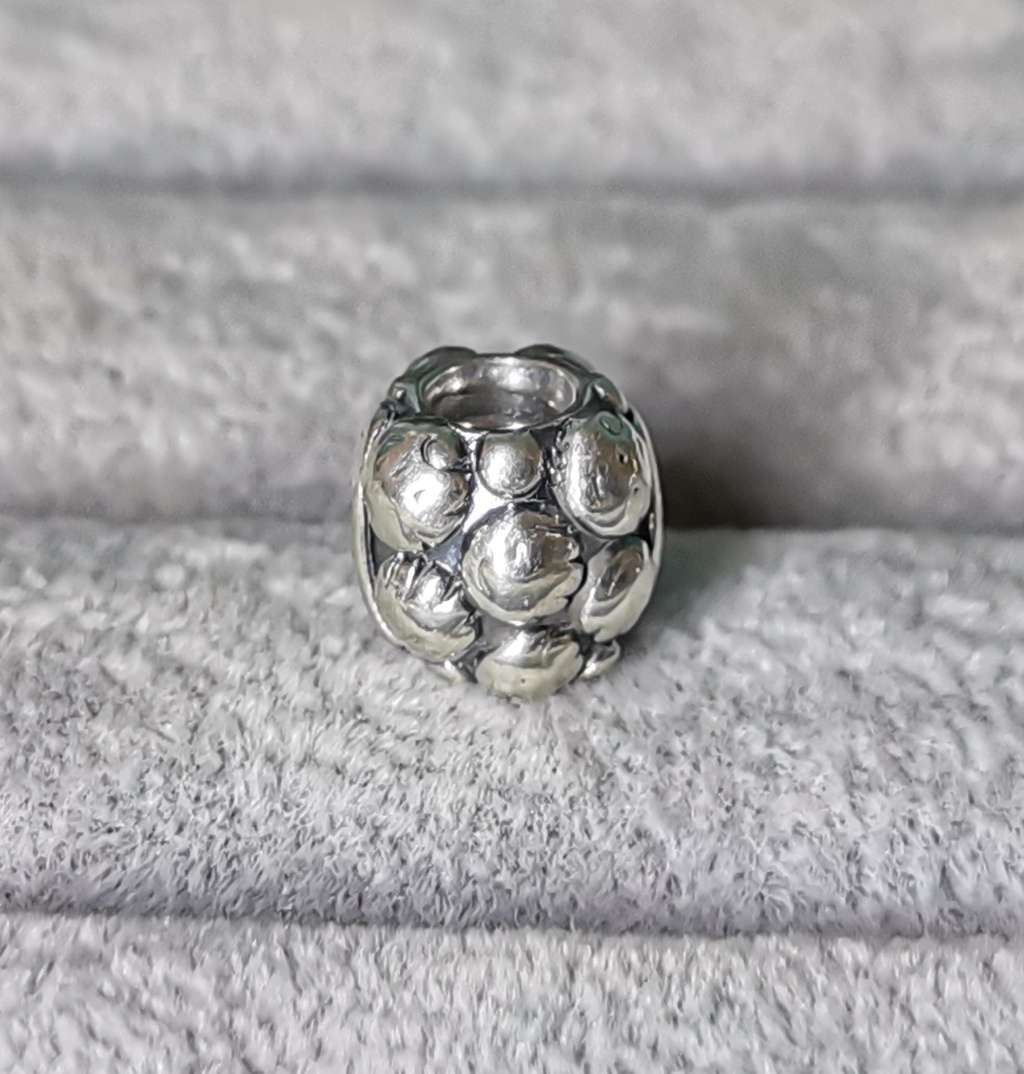 Pandora Love and Family Charm