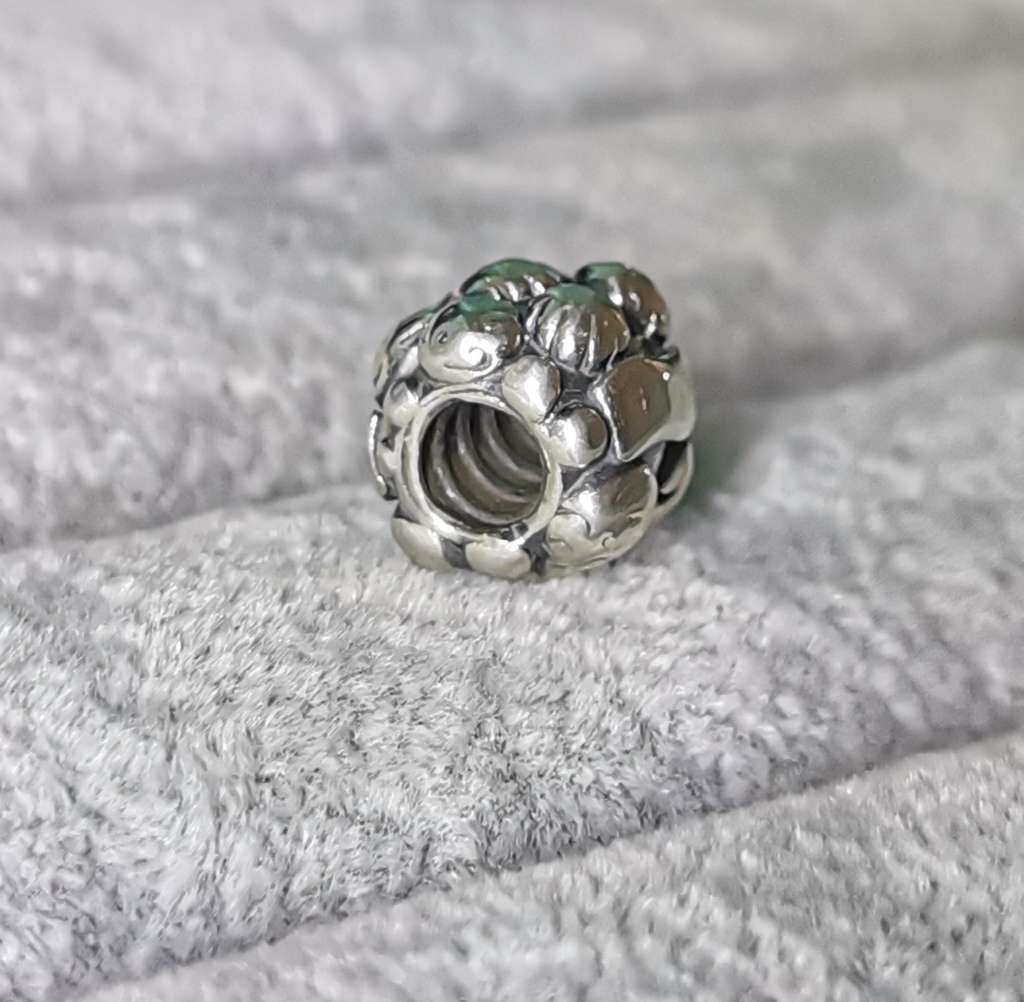 Pandora Love and Family Charm