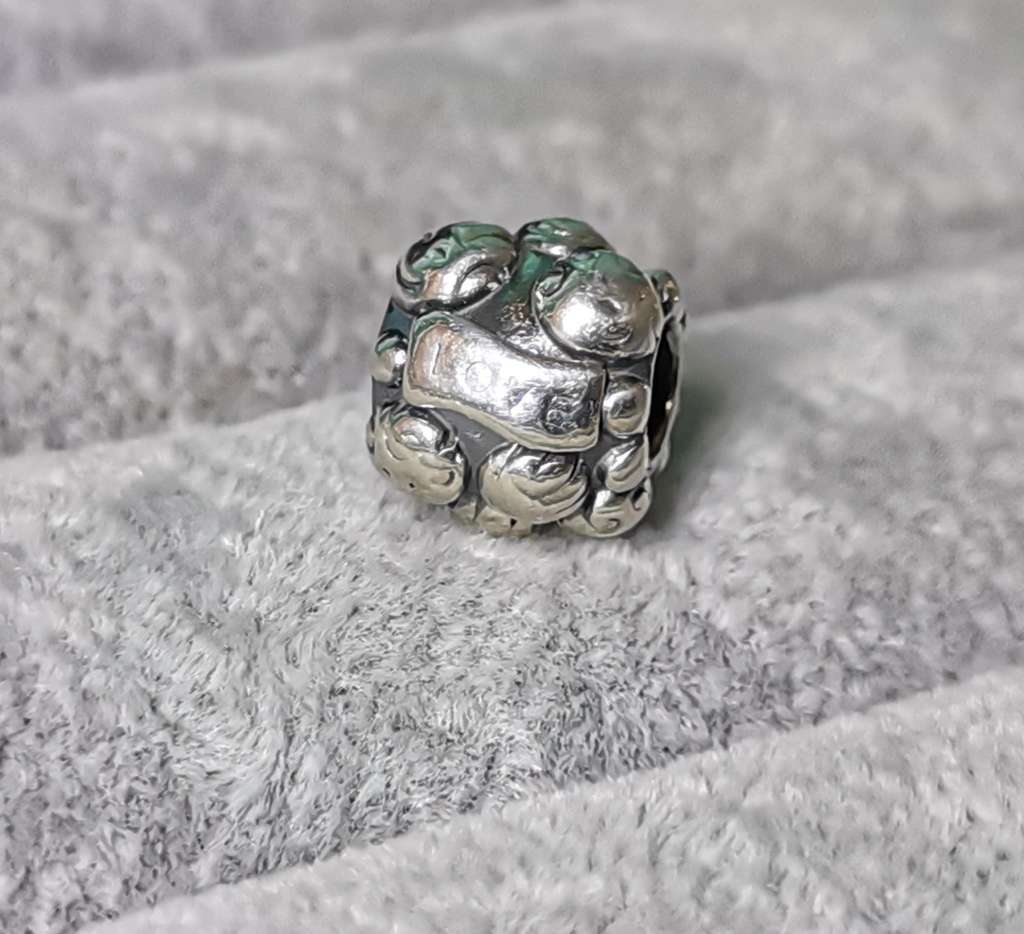 Pandora Love and Family Charm