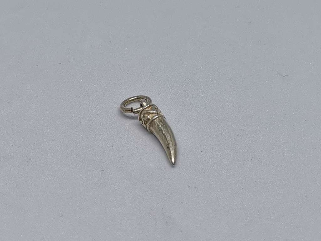 Silver Tooth Charm