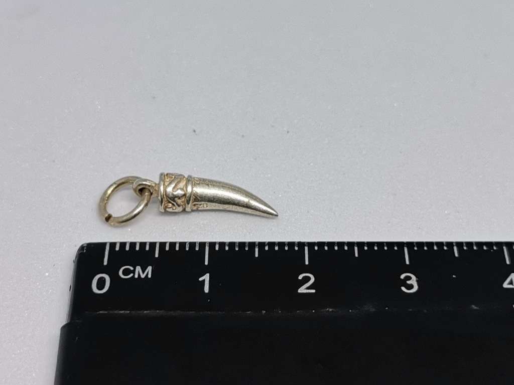 Silver Tooth Charm