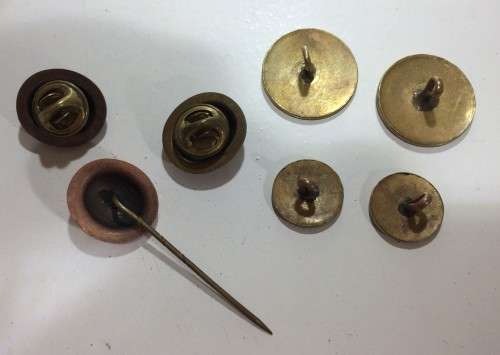 MOTH buttons and badges